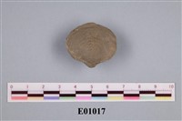 藏品(石燕(腕足動物))的圖片